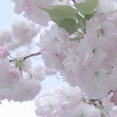 兽设山谷场景设计FurryQQ群